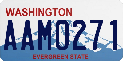 WA license plate AAM0271