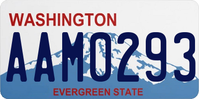 WA license plate AAM0293