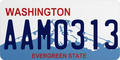 WA license plate AAM0313