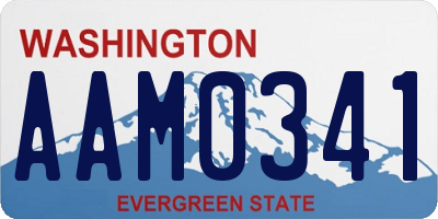 WA license plate AAM0341