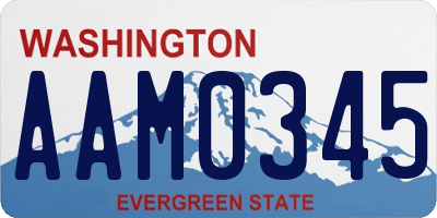 WA license plate AAM0345