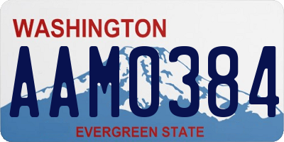 WA license plate AAM0384