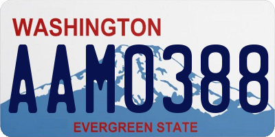 WA license plate AAM0388