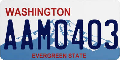 WA license plate AAM0403