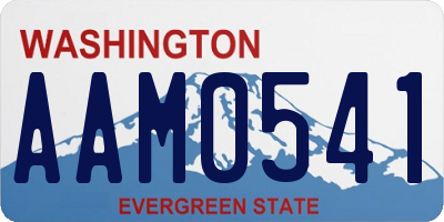 WA license plate AAM0541