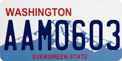 WA license plate AAM0603