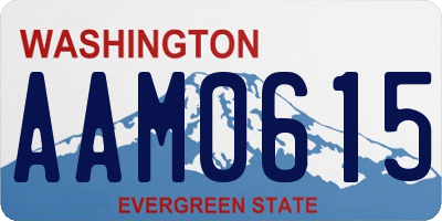 WA license plate AAM0615