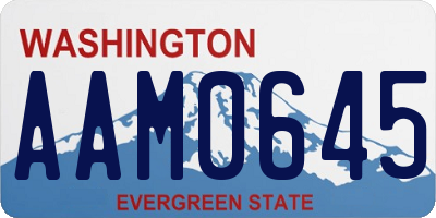 WA license plate AAM0645