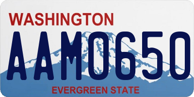 WA license plate AAM0650