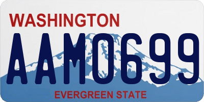 WA license plate AAM0699