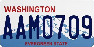 WA license plate AAM0709
