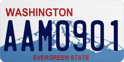 WA license plate AAM0901