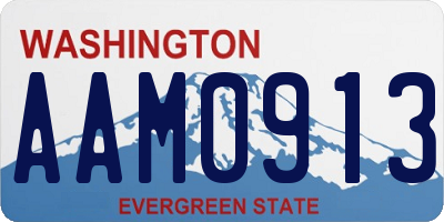 WA license plate AAM0913