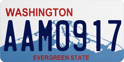 WA license plate AAM0917