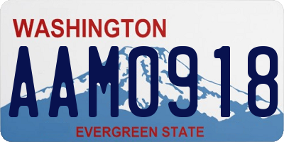 WA license plate AAM0918