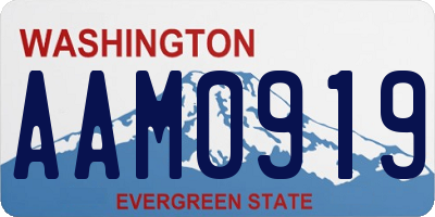 WA license plate AAM0919