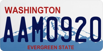 WA license plate AAM0920