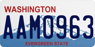 WA license plate AAM0963