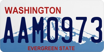 WA license plate AAM0973