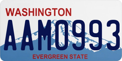 WA license plate AAM0993