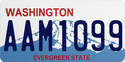WA license plate AAM1099