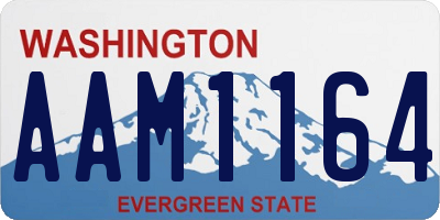 WA license plate AAM1164