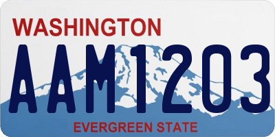 WA license plate AAM1203