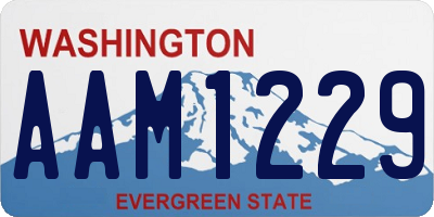 WA license plate AAM1229