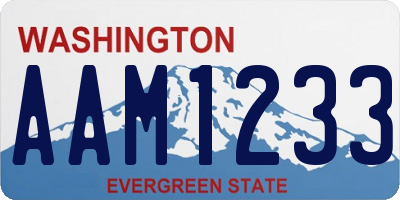 WA license plate AAM1233