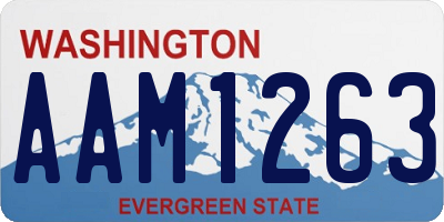 WA license plate AAM1263