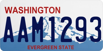 WA license plate AAM1293