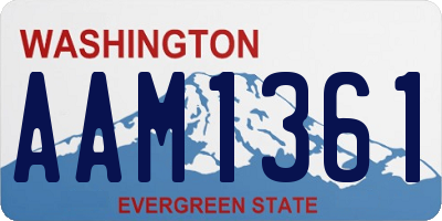 WA license plate AAM1361