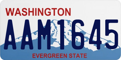 WA license plate AAM1645
