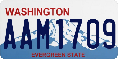WA license plate AAM1709