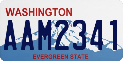 WA license plate AAM2341