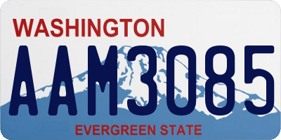 WA license plate AAM3085