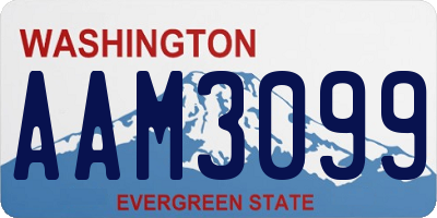 WA license plate AAM3099
