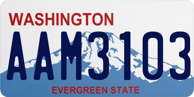 WA license plate AAM3103