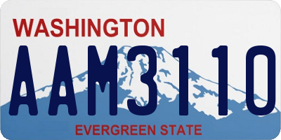 WA license plate AAM3110