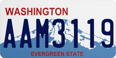WA license plate AAM3119