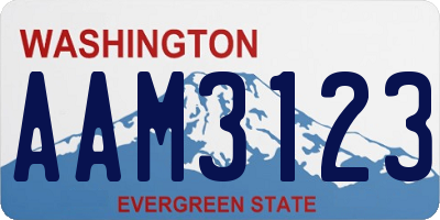 WA license plate AAM3123