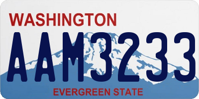 WA license plate AAM3233