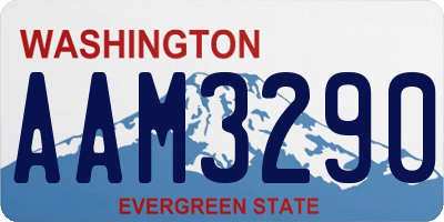 WA license plate AAM3290