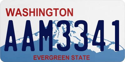 WA license plate AAM3341