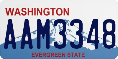 WA license plate AAM3348