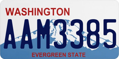 WA license plate AAM3385