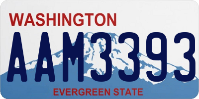 WA license plate AAM3393