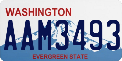 WA license plate AAM3493