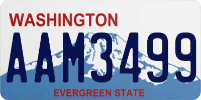 WA license plate AAM3499