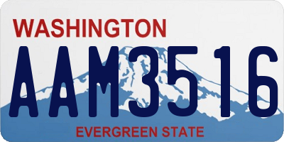 WA license plate AAM3516